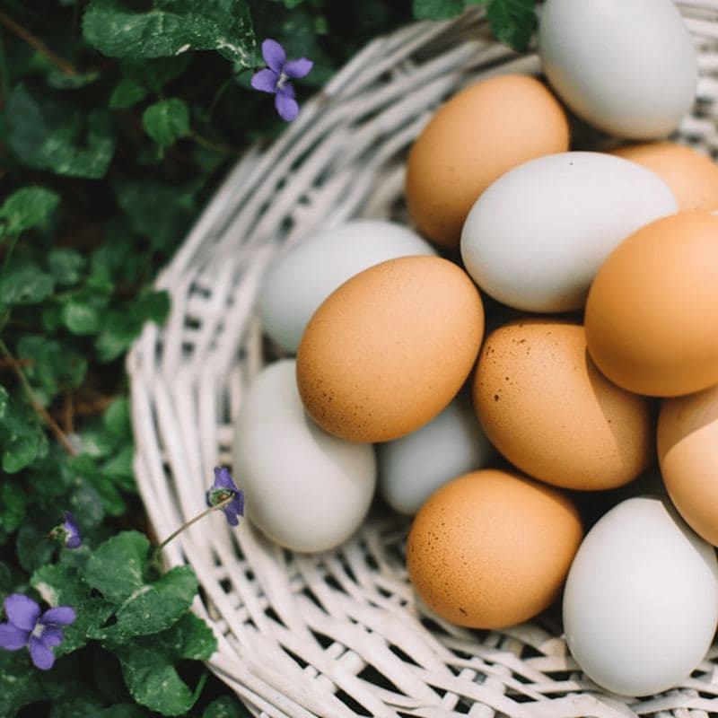 Eggs