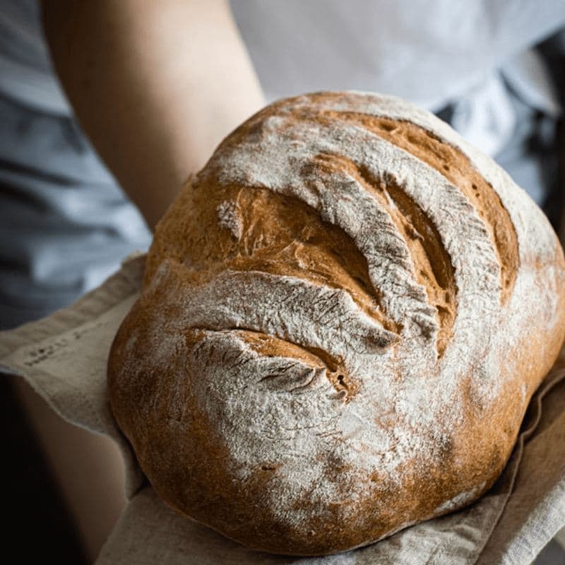 Bread