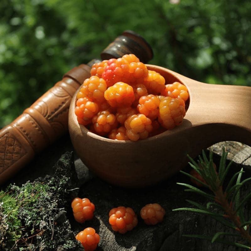 Cloudberry